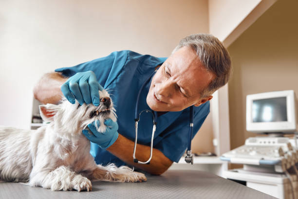 Best Emergency Dentist for Knocked-Out Tooth in Midway, FL